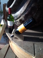 /album/varios/pvinos-1-jpg/